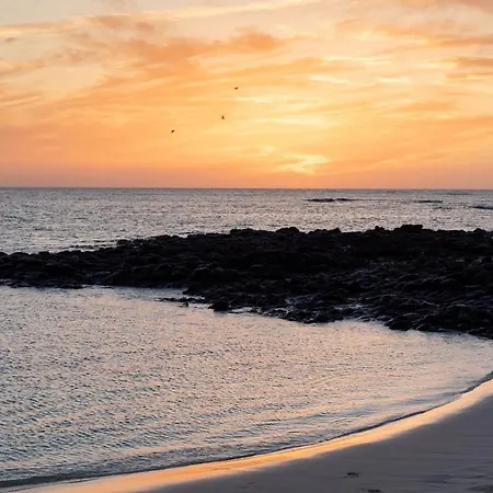 Sunset Oasis